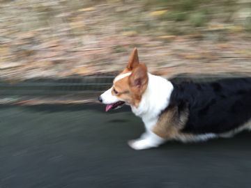 亮亮小姐