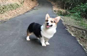 露西小姐