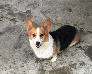 亮亮小姐