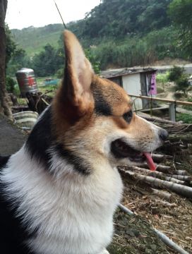 露西小姐
