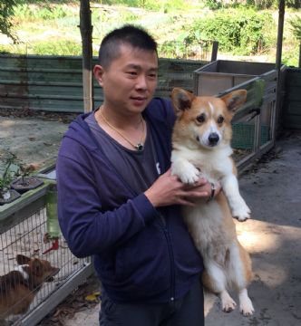 伊娃小姐