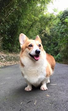 仙蒂小姐