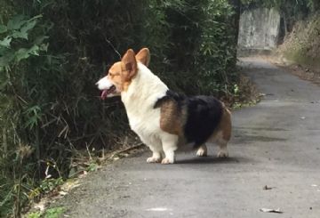 亮亮小姐