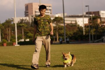 桃園柯基犬舍